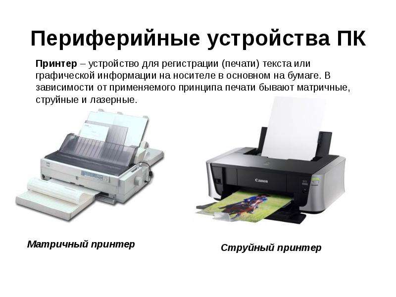 Периферийные устройства эвм картинки