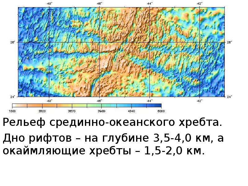 Экосистема морей и океанов презентация