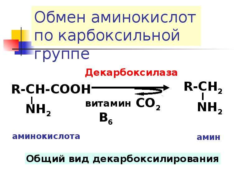 Обмен аминокислот по карбоксильной группе