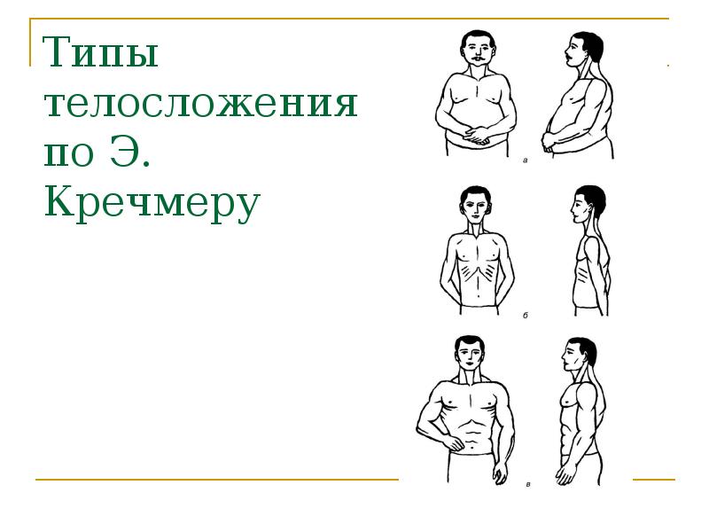 Как согласно типологии э кречмера называется тип строения тела человека на рисунке ниже