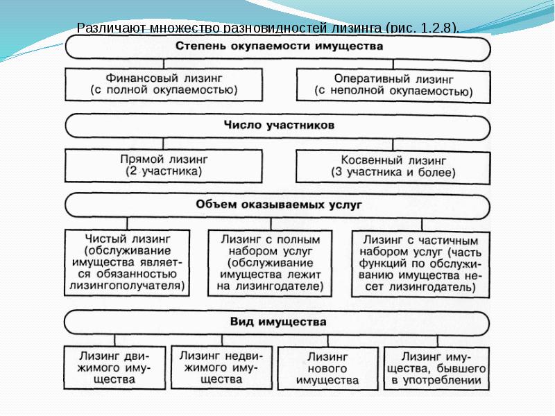 Организация предприятия кратко. Виды множественности. По числу участников различают следующие виды лизинга.