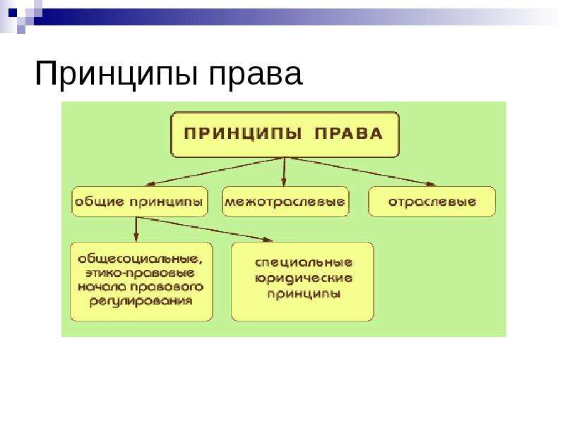 Принципы права тгп презентация