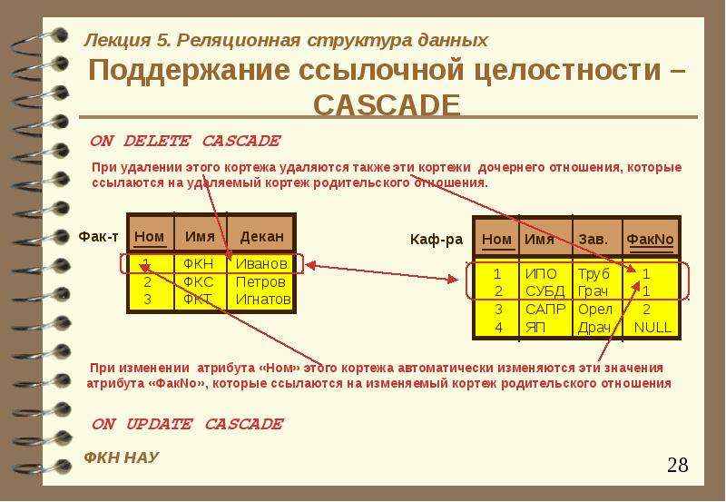 Структура реляционной базы