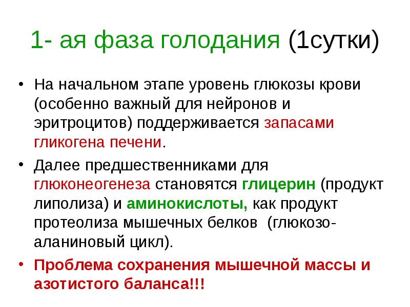 Уровень глюкозы после голодания. Процессы при голодании по дням. Период голодания биохимия. Периоды полного голодания. При голодании уровень Глюкозы.