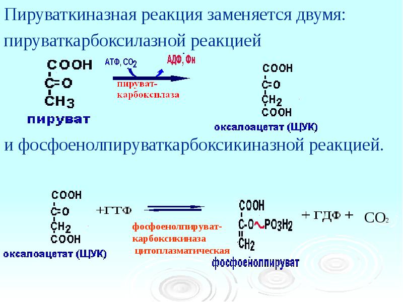 Распад глюкозы