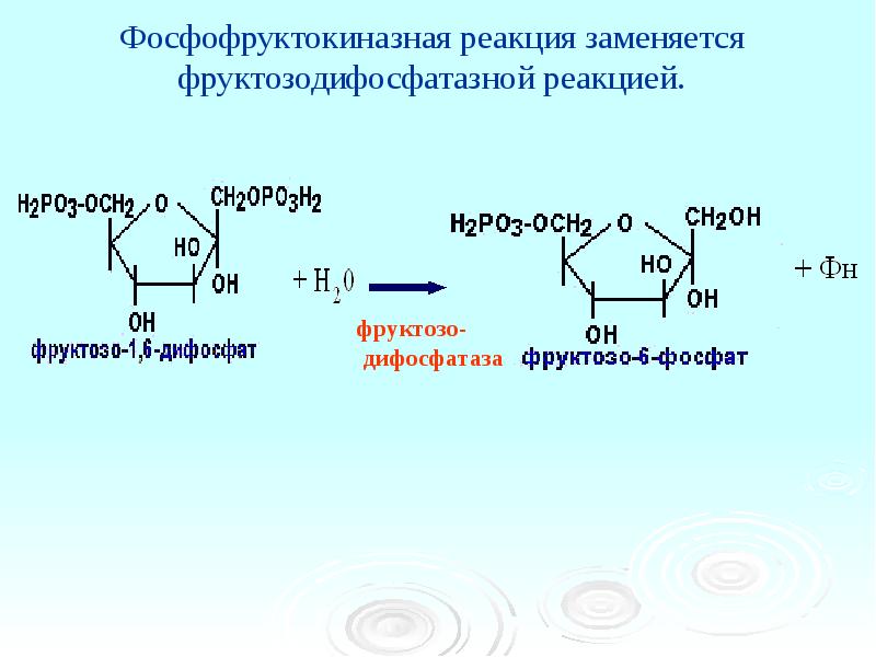 Распад глюкозы