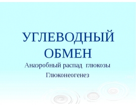 Анаэробный распад глюкозы Глюконеогенез