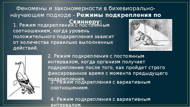 Теория социального научения презентация