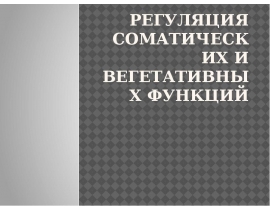 регуляция соматических и вегетативных функций