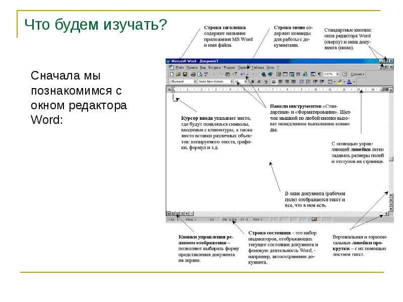 Создание изображений в векторном редакторе входящем в состав текстового редактора word