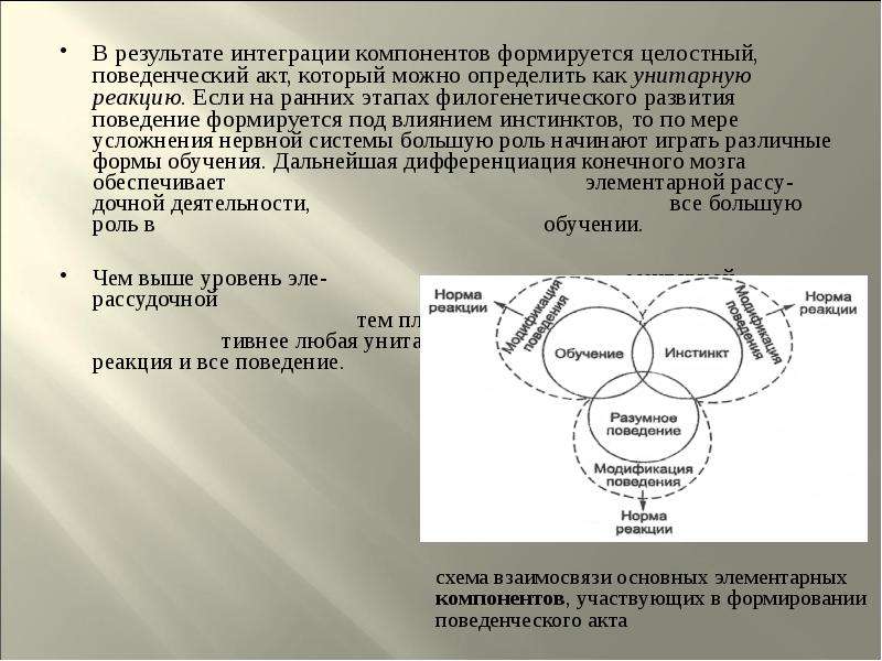 Формируется под влиянием. Стадии поведенческого акта. Целостный поведенческий акт это. Этапы формирования поведенческого акта. Стадии поведенческого акта у собак.