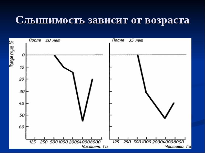 Информационный шум презентация