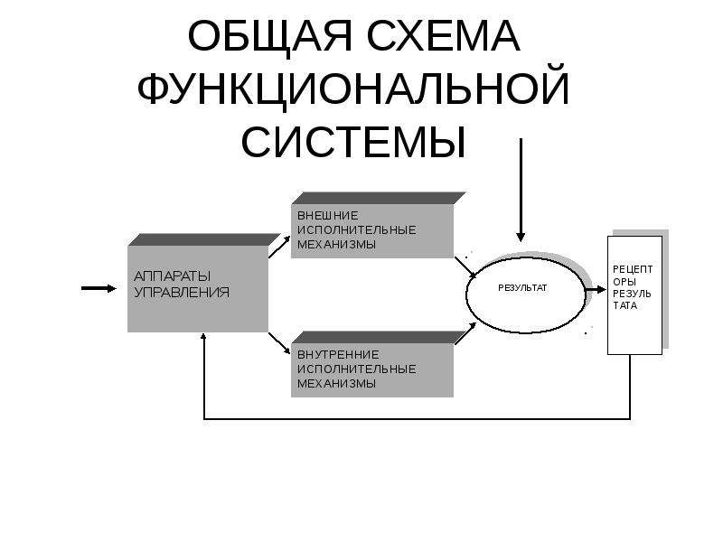 Схема функциональной системы