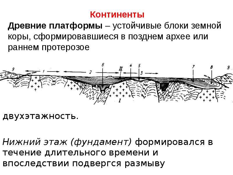 Структурные элементы слайда. Структурные элементы ломиков. Структурообразующие элементы территории туды.