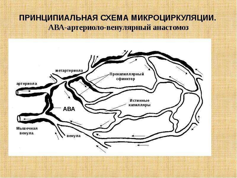 Карта атиг спутник