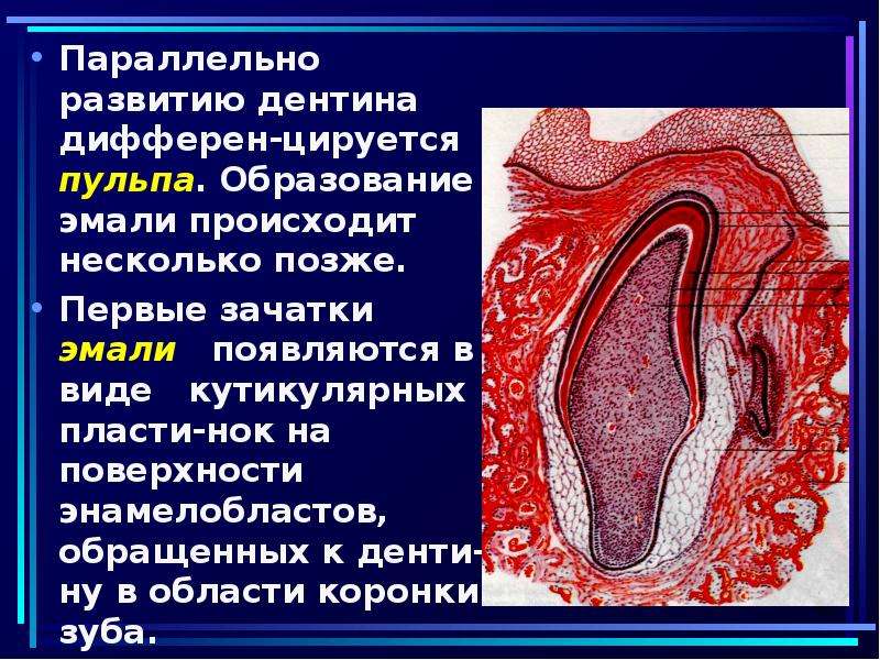 Происходит в несколько