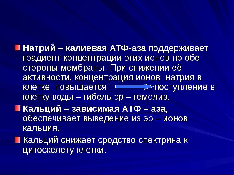 Концентрация активности