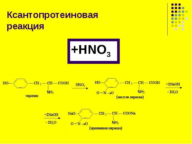 Ксантопротеиновая реакция рисунок