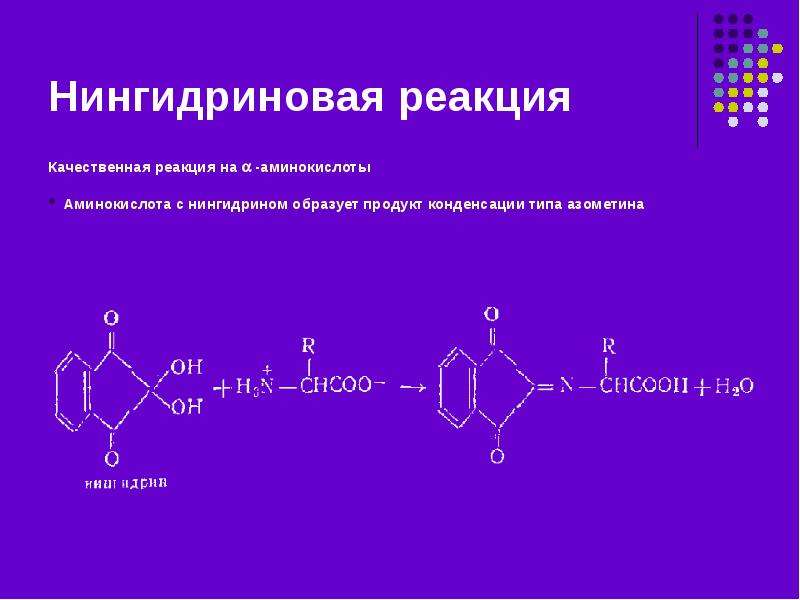 Качественные реакции на белки презентация