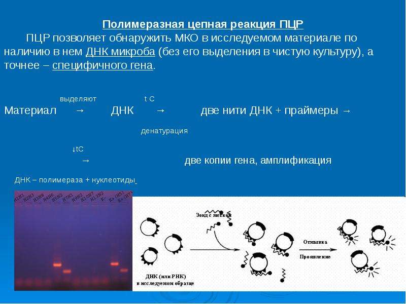 Условие цепной реакции. Полимеразная реакция. Цепная реакция. Обнаружение вируса в полимерной цепной реакции. Цепная полимеразная реакция реакция присоединения.