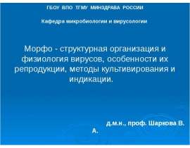 Морфо-структурная организация