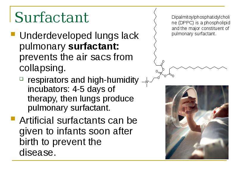 Surfactant Underdeveloped lungs lack pulmonary surfactant: prevents the air sacs from collapsing. re
