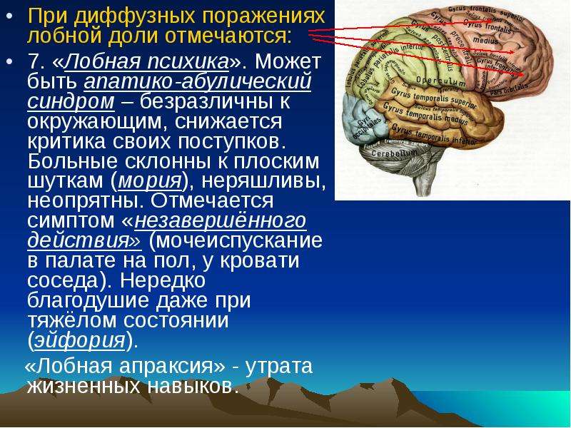 Диффузное поражение мозга. Поражение лобной доли головного мозга. При поражении лобных долей мозга. Поражение премоторной коры лобной доли. Поражение конвекситальных отделов лобных долей мозга.