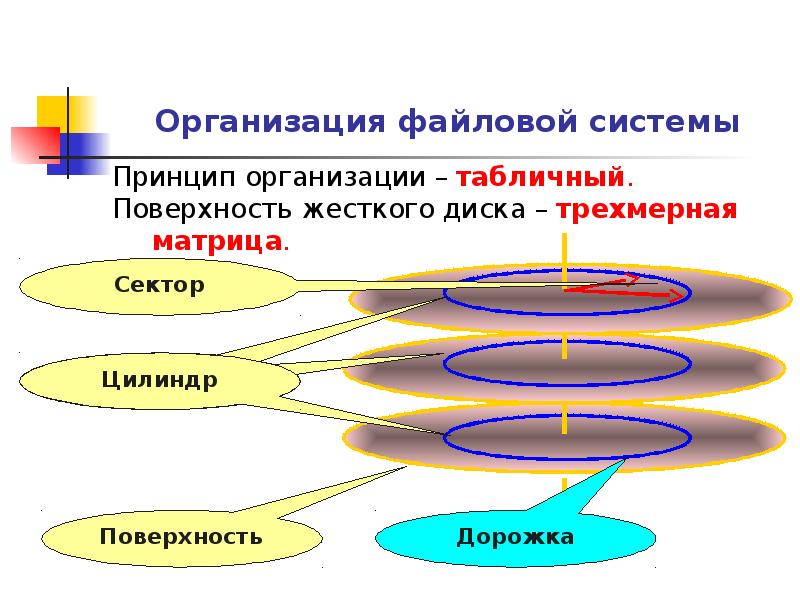 Типы файловых систем. Принципы организации файловой системы. Принцип организации файловой системы — табличный. Основные элементы файловой структуры. Структурная организация файловой системы.