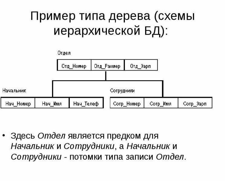 Примером иерархической базы данных является