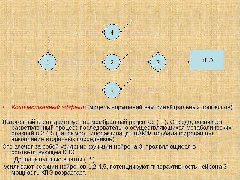 Агент действует. Количественный эффект. Гиперактивация нейронов может происходить при:. Патогенные агенты. Поступление патогенных агентов в нервную систему.