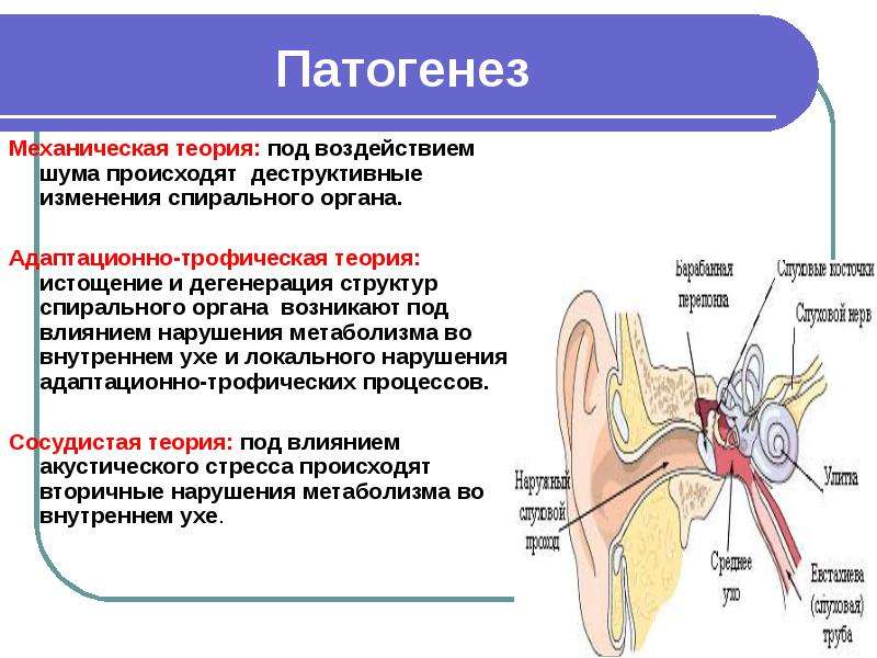 Профессиональная нейросенсорная тугоухость презентация