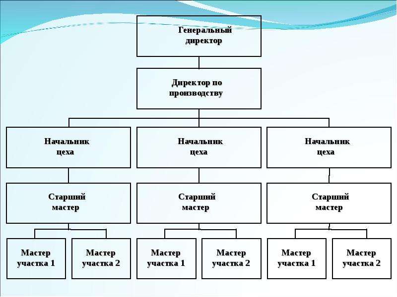 Структура компании схема онлайн