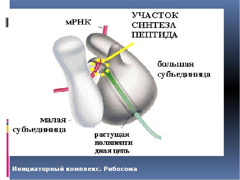 Участок синтеза