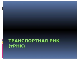 Транспортная РНК (тРНК)