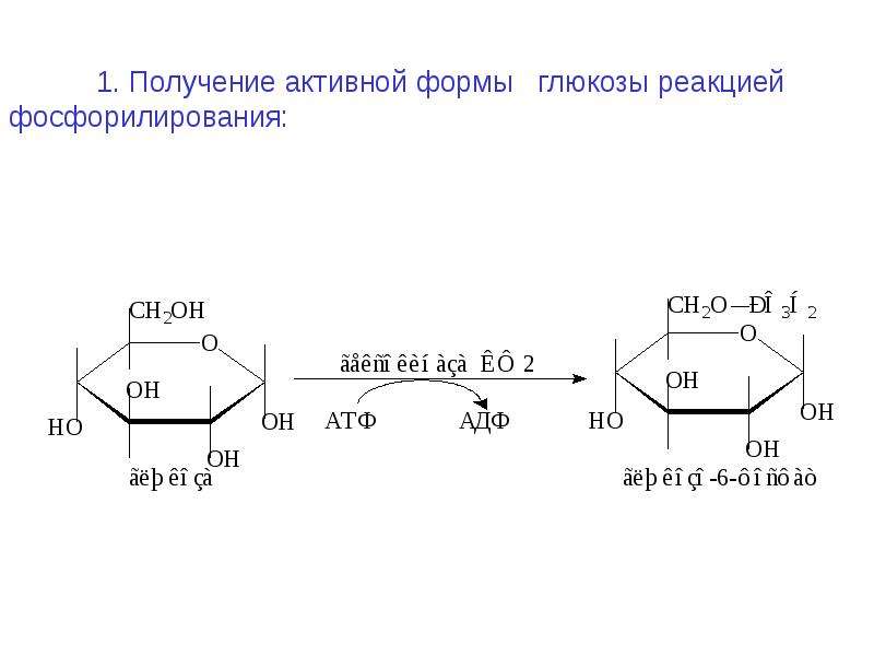 Получить активно. Фосфорилирование Глюкозы катализирует фермент. Фосфорилирование и дефосфорилирование Глюкозы. Реакция фосфорилирования Глюкозы. Трансферазы реакция фосфорилирования Глюкозы гексокиназой.