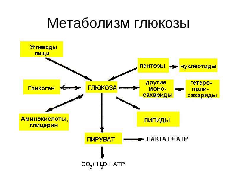 Умная логистика обмен с 1с