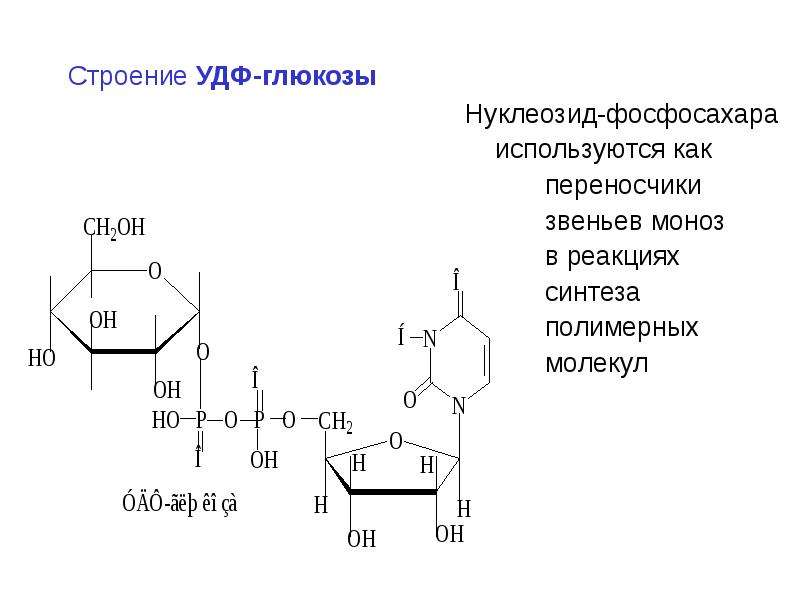 Верхняя граница глюкозы