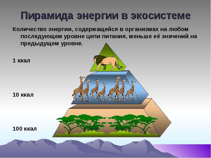 Стрелками на рисунке указано на всех показателей численности биомассы энергии с трофического уровня