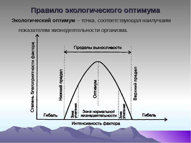 Картинки закон оптимума