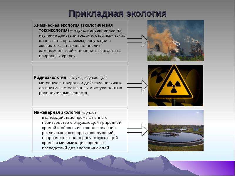 Сущность прикладной экологии презентация