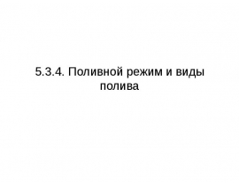 Поливной режим и виды полива