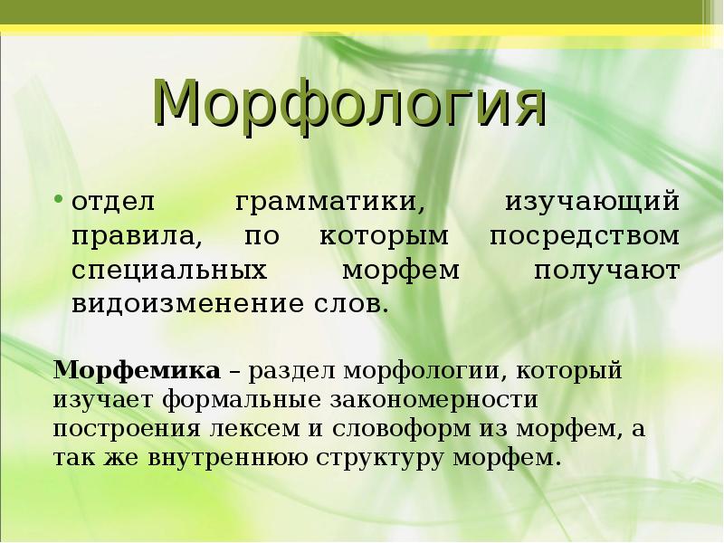 Морфология изучает