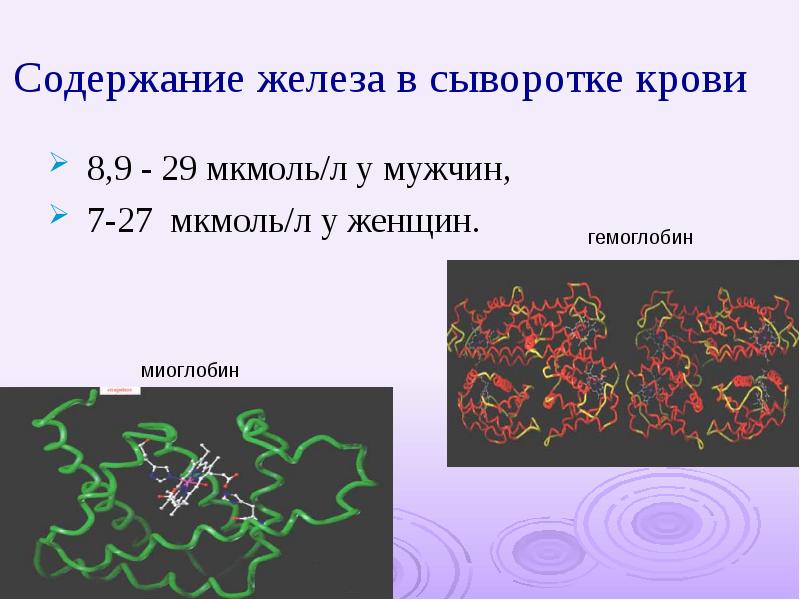 Сывороточного железа у мужчин. Содержание железа в сыворотке. Железо в сыворотке 29.26. Картинки сывороточного железа в крови. Формы железа сыворотки крови.