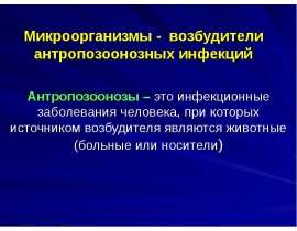 Сибирская язва