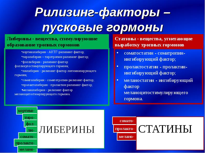 Лекция: Гипоталамо-гипофизарная система