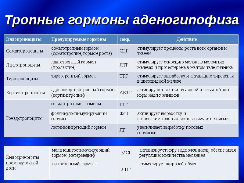 Гормоны естествознание 11 класс презентация