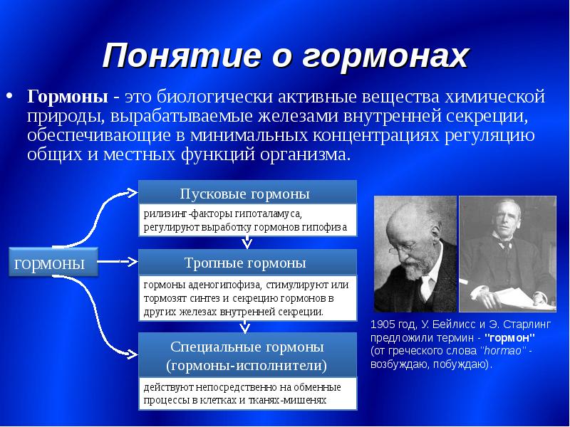 Анатомия желез внутренней секреции презентация