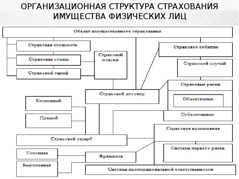 Схема организационная структура страховой компании схема