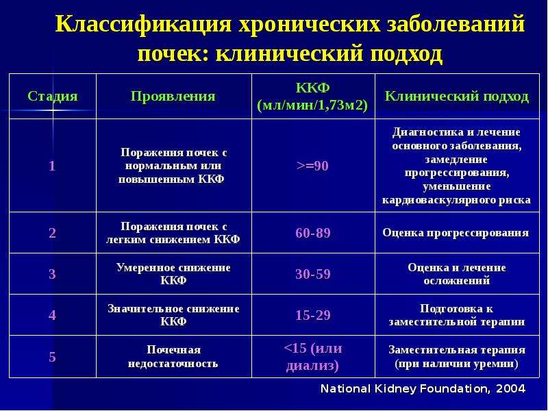 Хпн презентация терапия