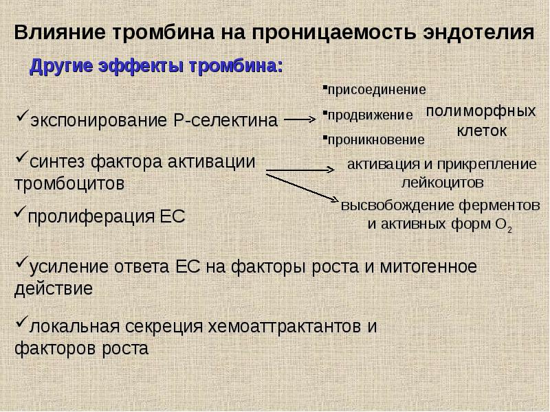 Тромбин. Тромбин функции. Эффекты тромбина. Действие тромбина. Тромбин механизм действия.